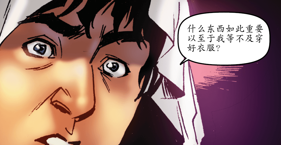 全额付款 （四） panel 4