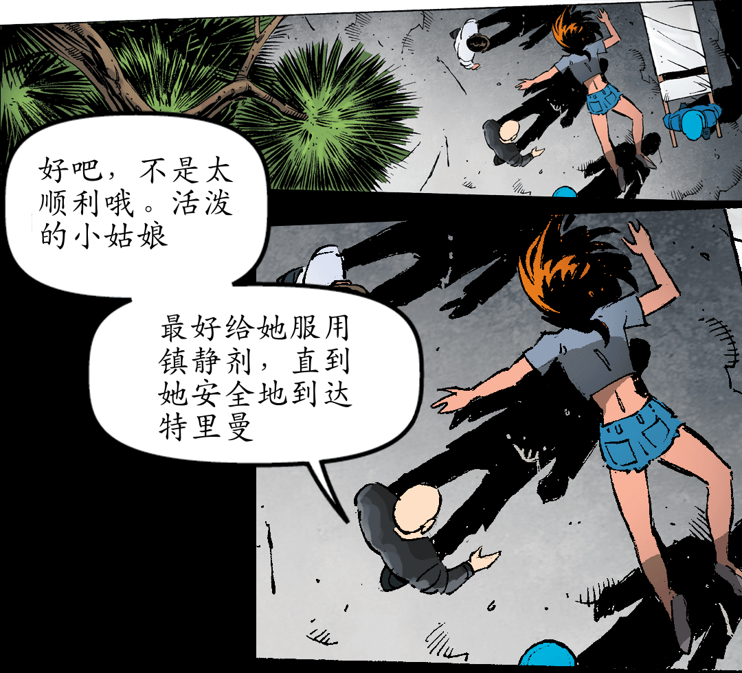 你想惹麻烦吗？ （三） panel 4