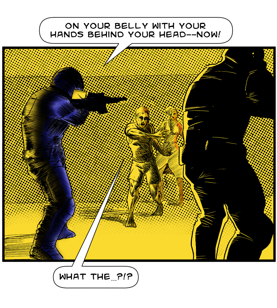 No-Knock Policing panel 6