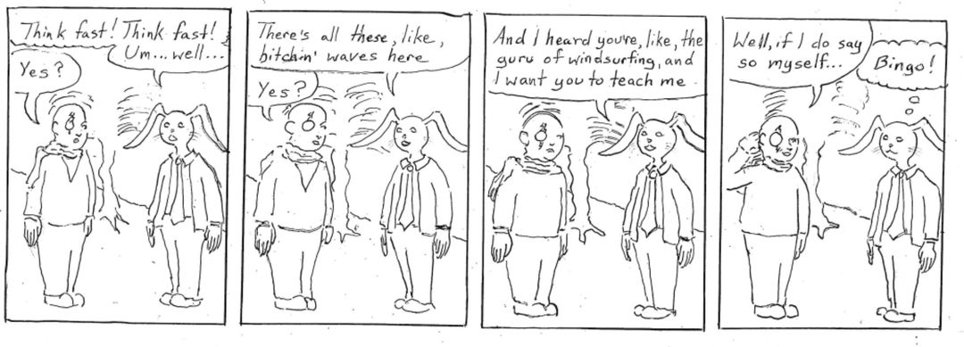 the guru of windsurfing panel 1