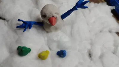 Nose out of Shape episode cover