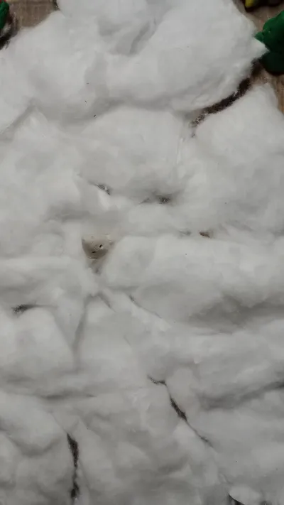 Small Song of the Small episode cover