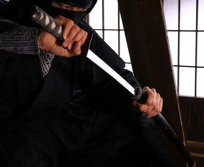 The frontpage cover art for the episode How Not to Sneak Past Ninjas from the comics series Nym Coy's Dispatches, which is number 18 in the series