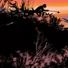 The Devil's Work episode cover