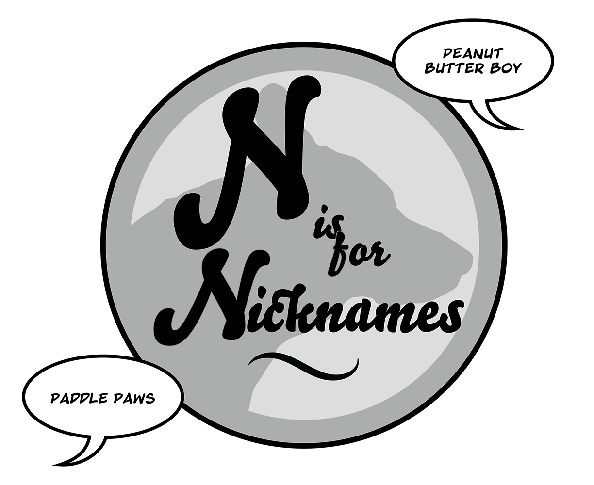 N is for Nicknames episode cover