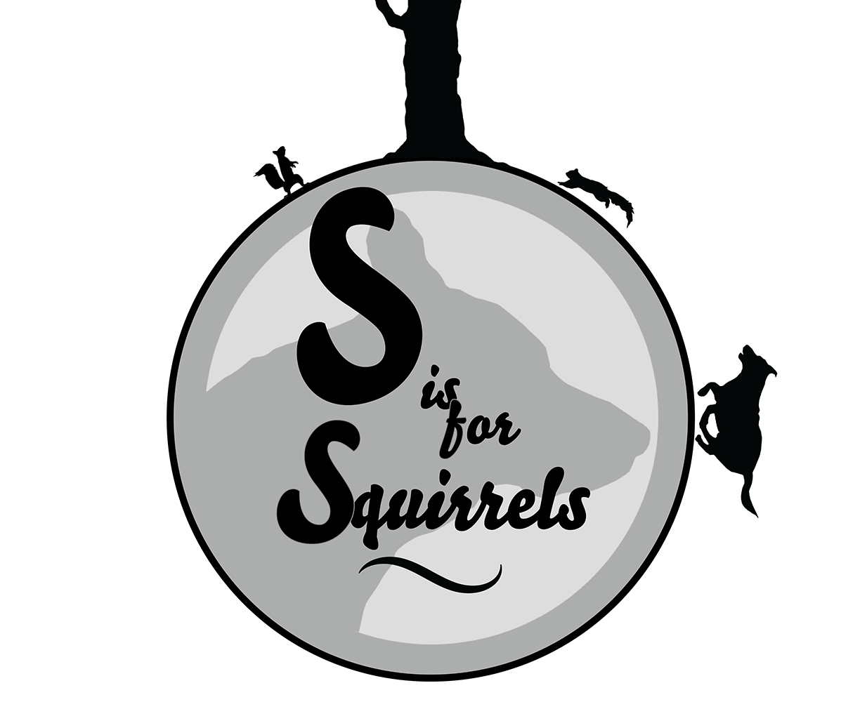 S is for Squirrels episode cover