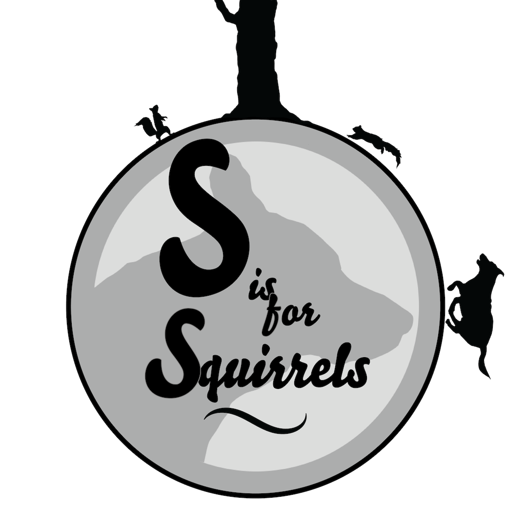 S is for Squirrels panel 1