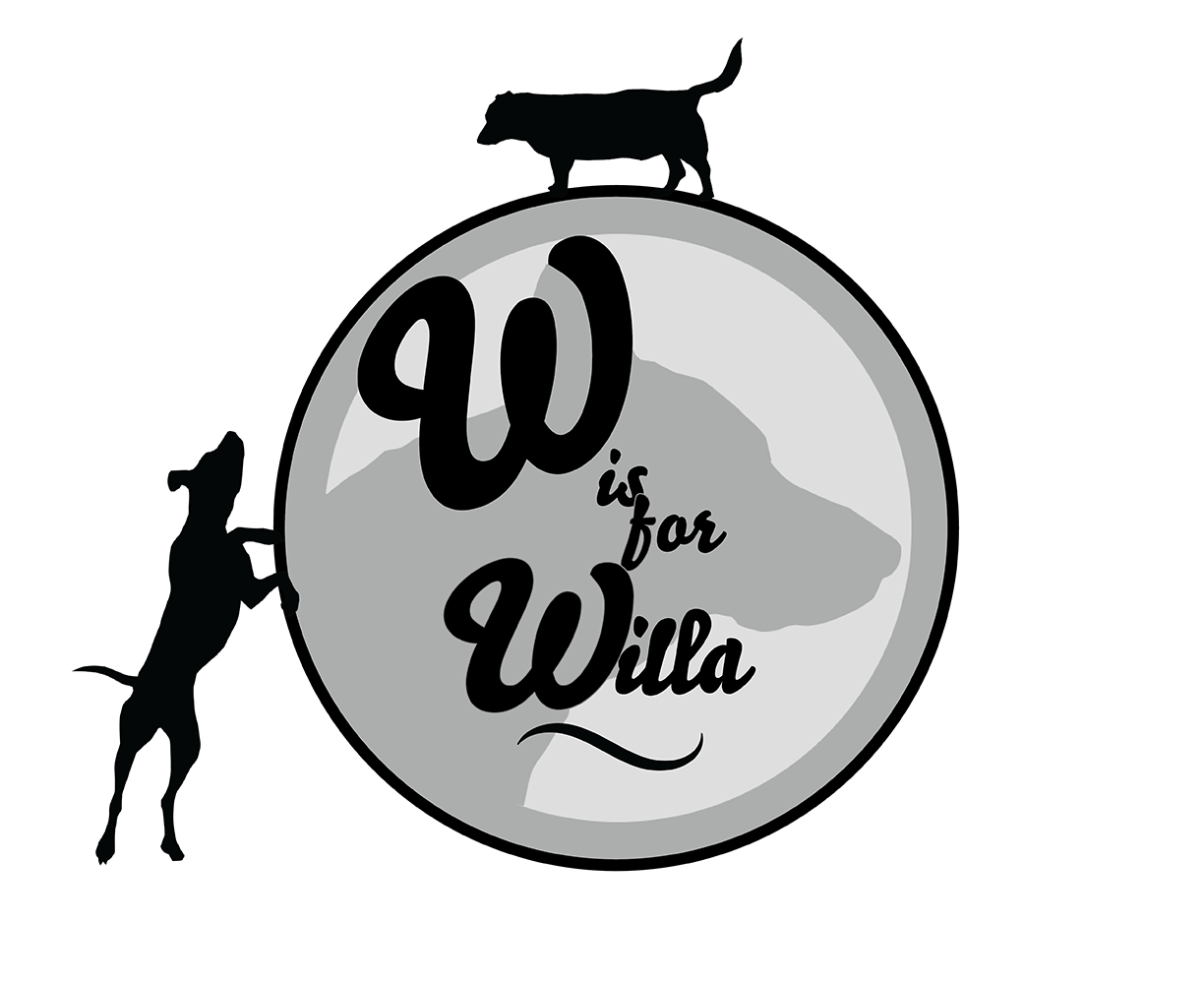 W is for Willa episode cover