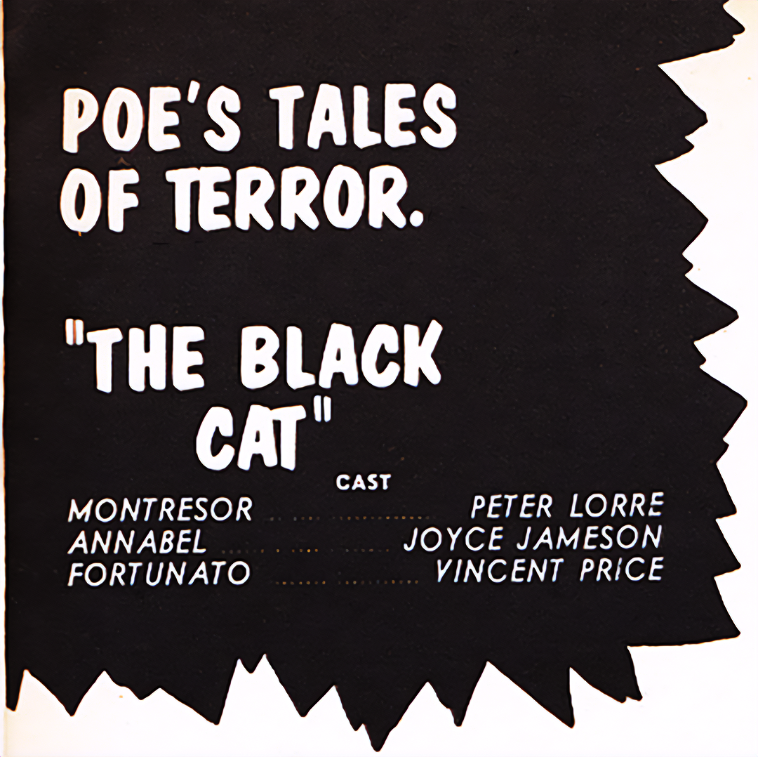 Poe's Tales Of Terror #2 The Black Cat panel 4