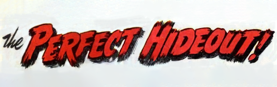 Halloween Special 6: Perfect Hideout panel 4