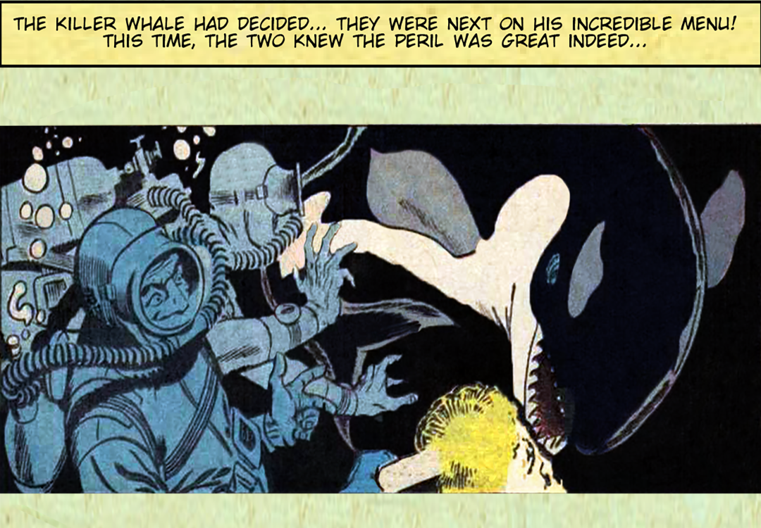 The Cursed Cove panel 12