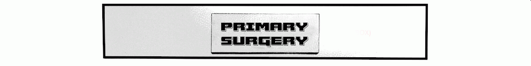 Primary Surgery panel 2
