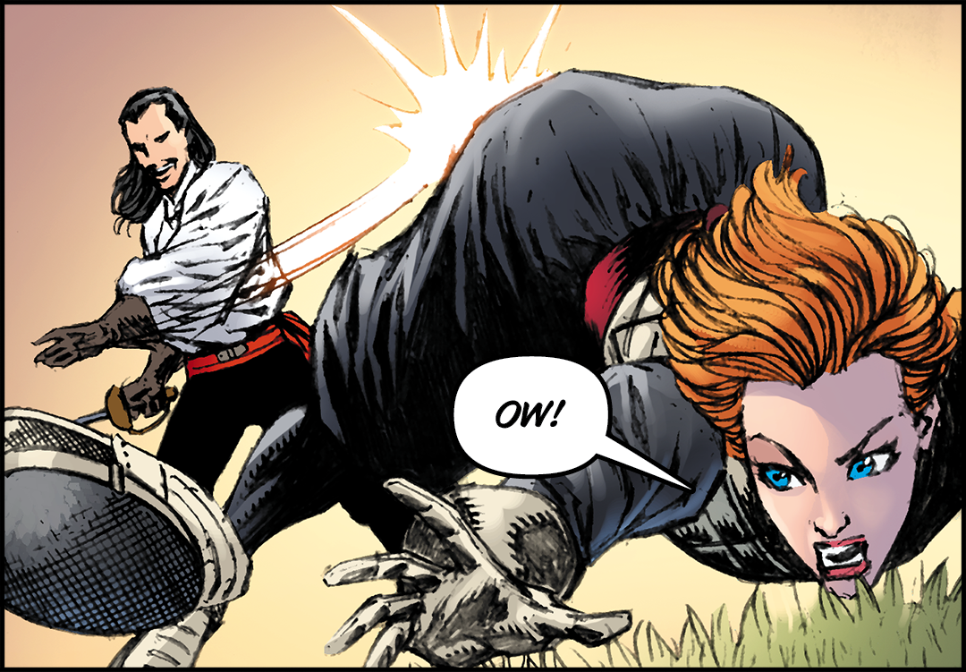 Fencing 101 panel 13