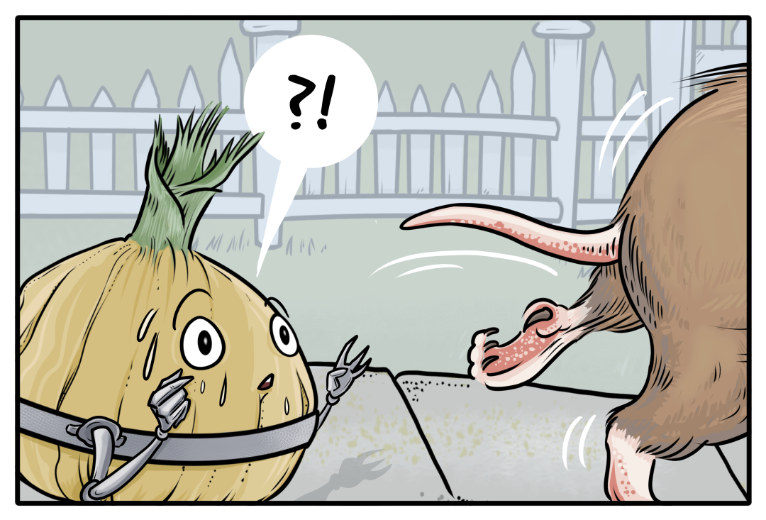 Onions & Gophers panel 5