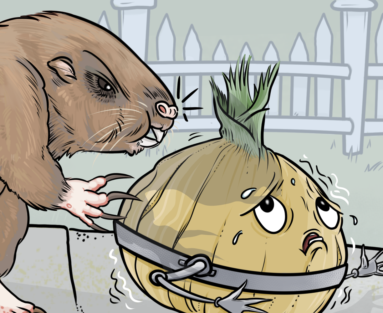 Onions & Gophers episode cover