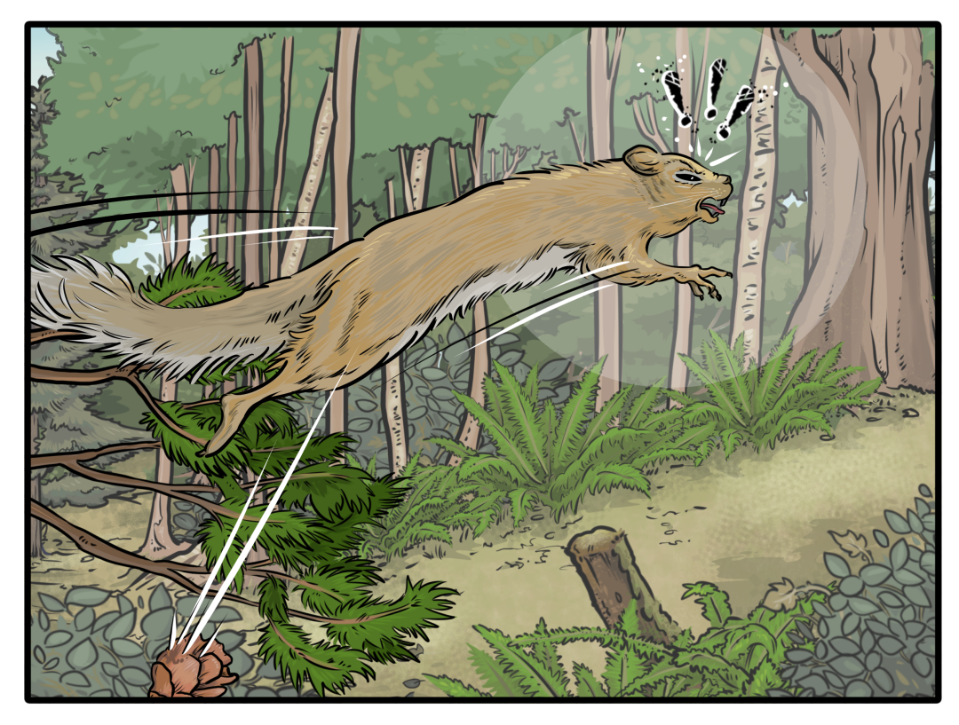 Squirrel vs Squirrel panel 3