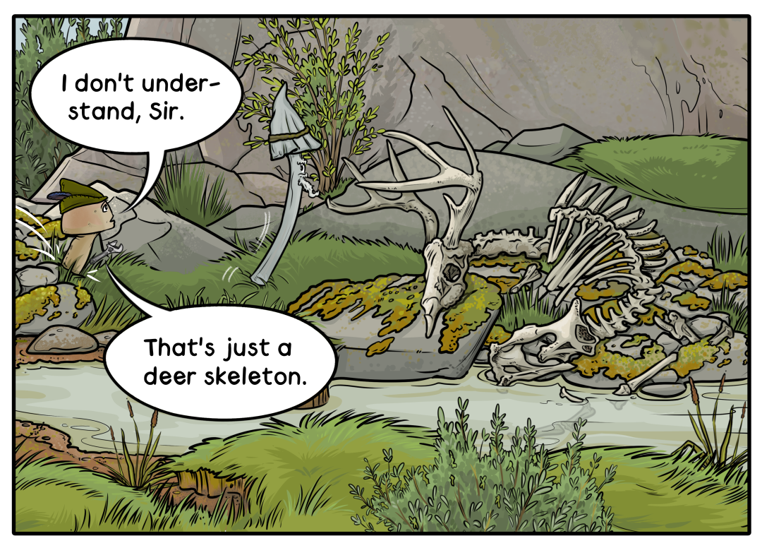 Precious Old Bones panel 1