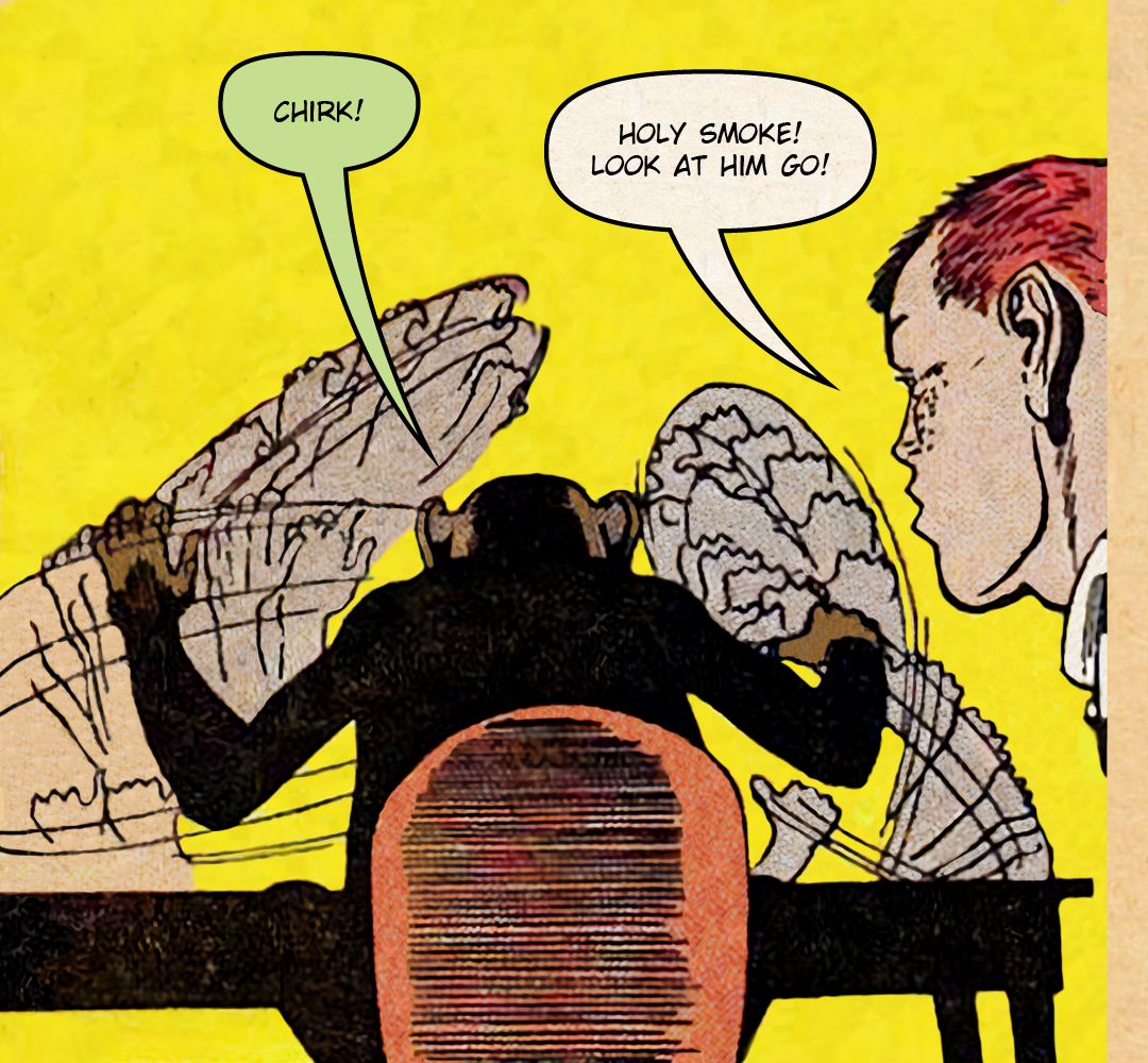 Flyboy in Monkey Business 2 panel 7