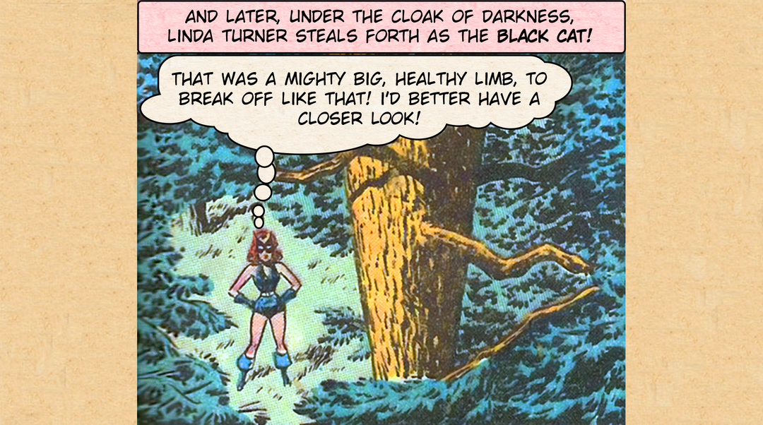 Big Woods Death #1 - Into the Wild panel 13