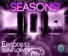 Sunflowers episode cover