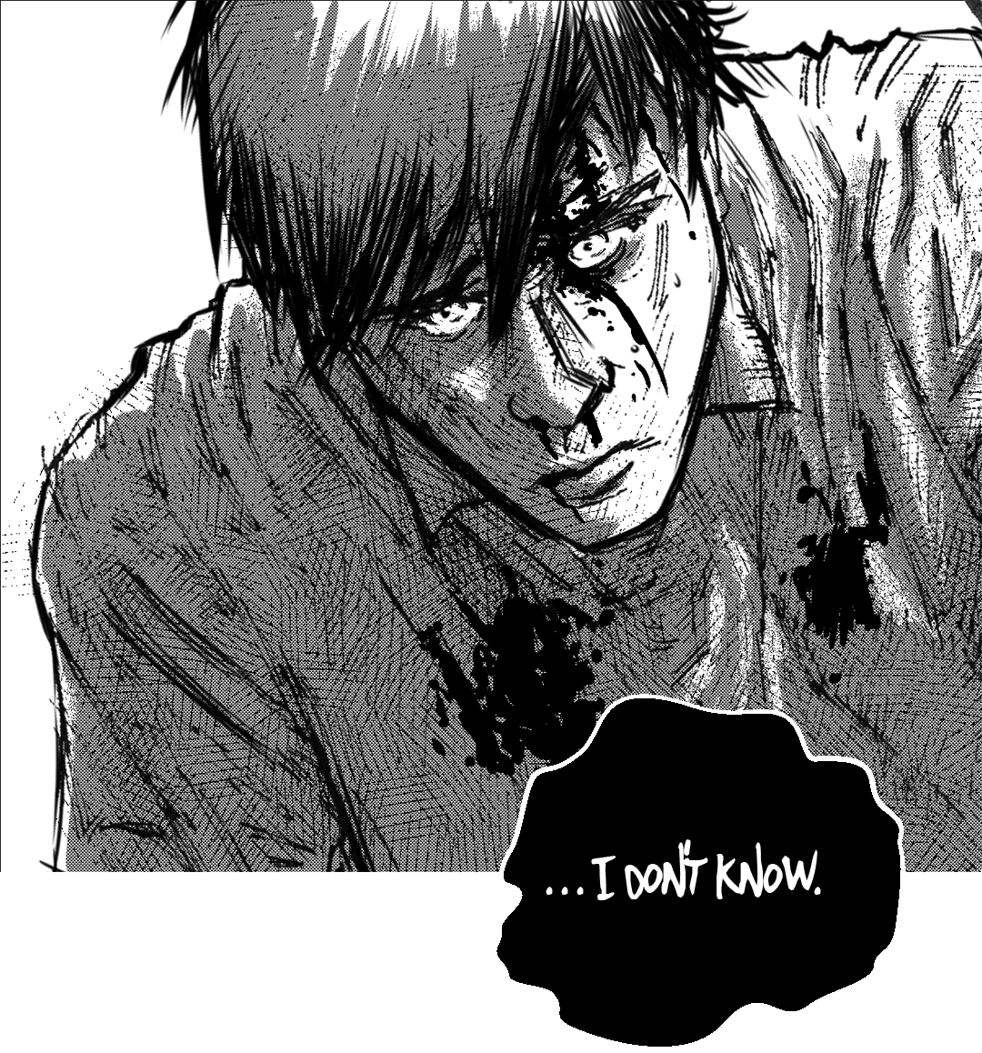 Parallels panel 5