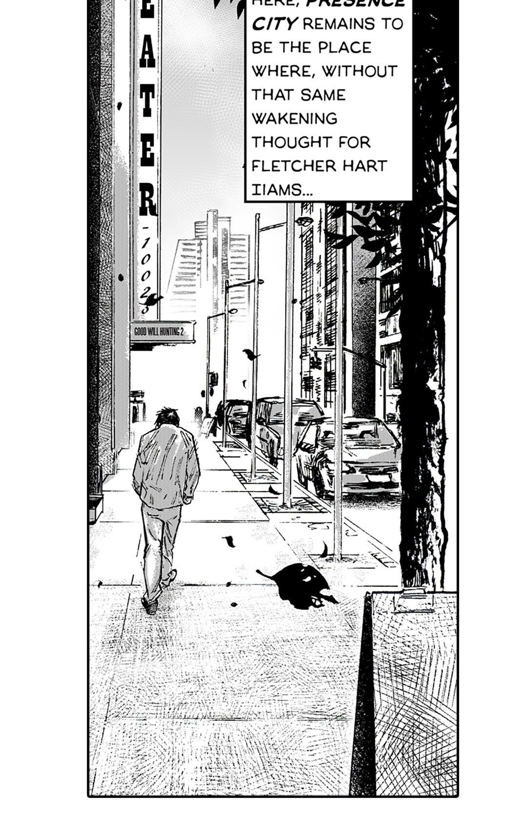 Shadow panel 13