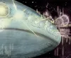 First Contact episode cover