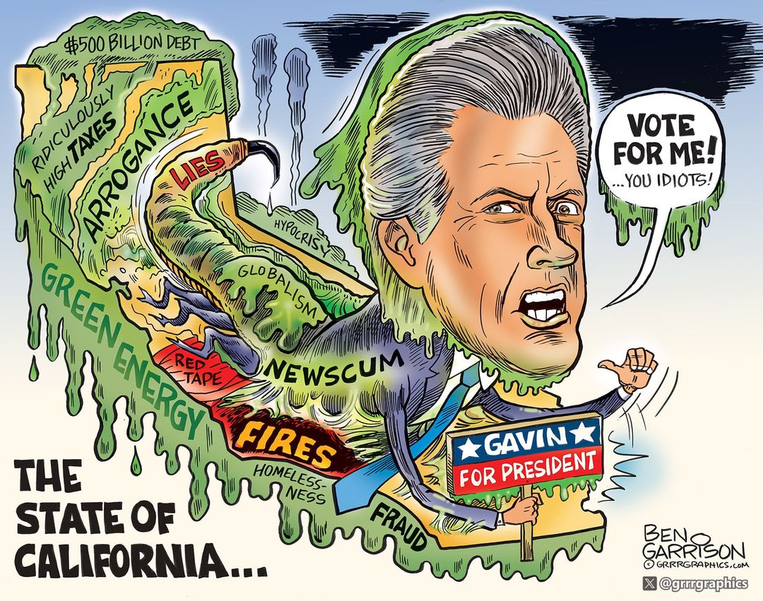 California Sliming With Gavin Newscum panel 1