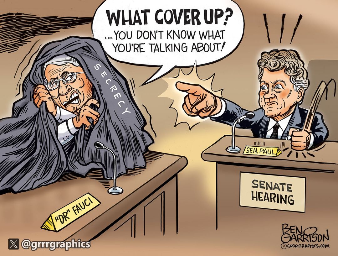 Dear Diary: Fauci Cover Up Exposed panel 1