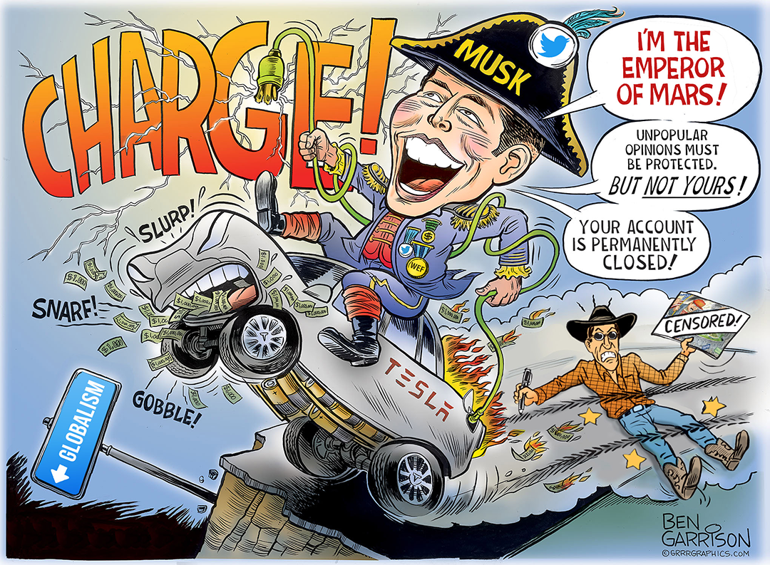 Elon Musk Bans Grrrgraphics panel 1