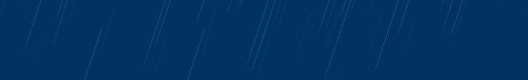 The Pandora Shard panel 29