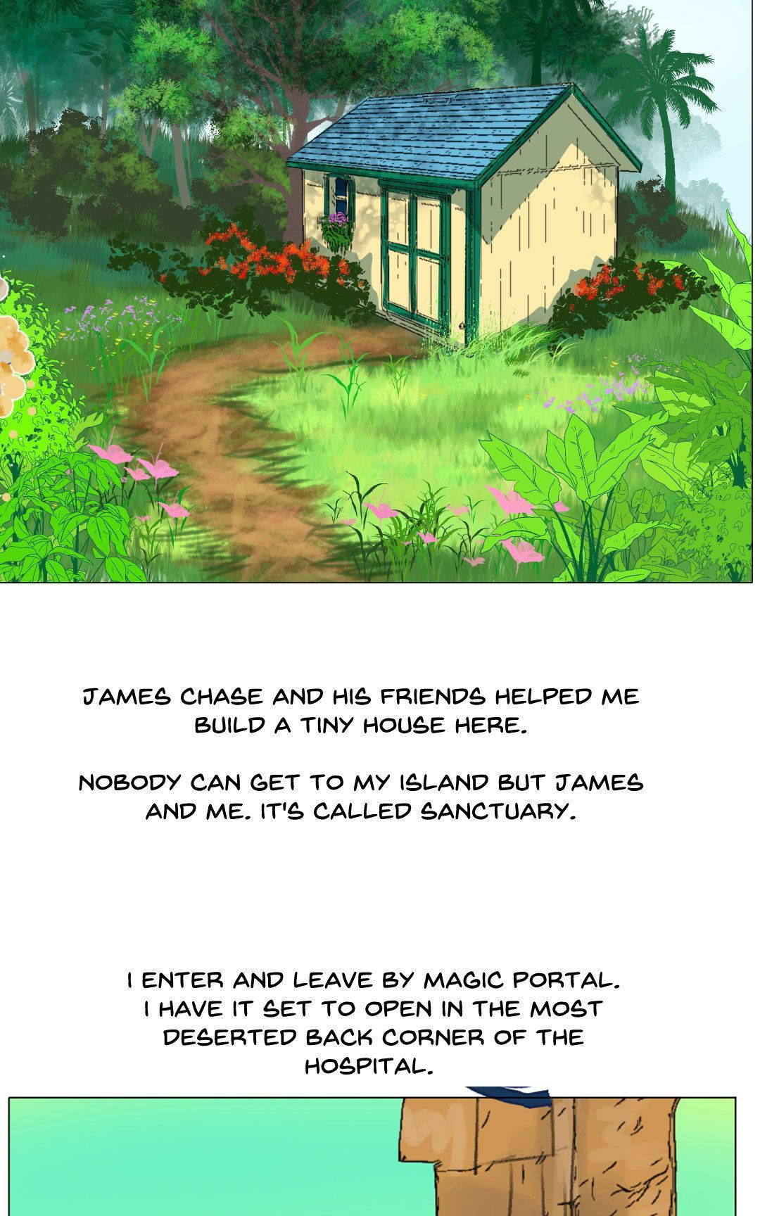 S2: Explanation of Absence panel 9