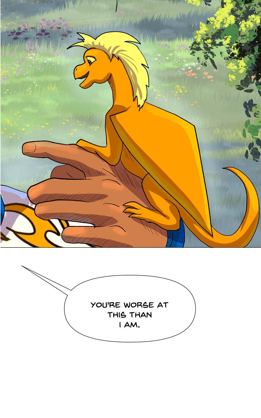 Explanations panel 12