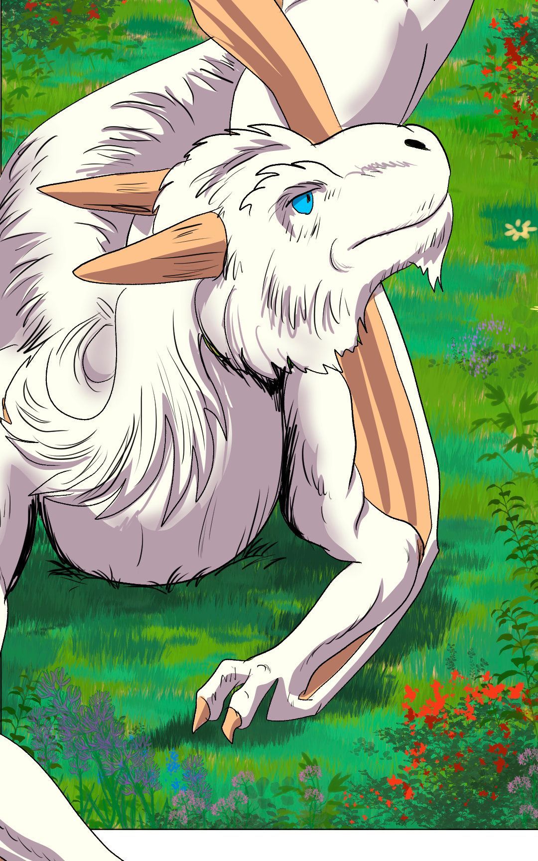 Explanations panel 15