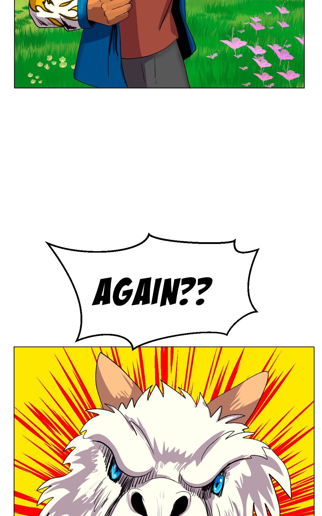 Explanations panel 17