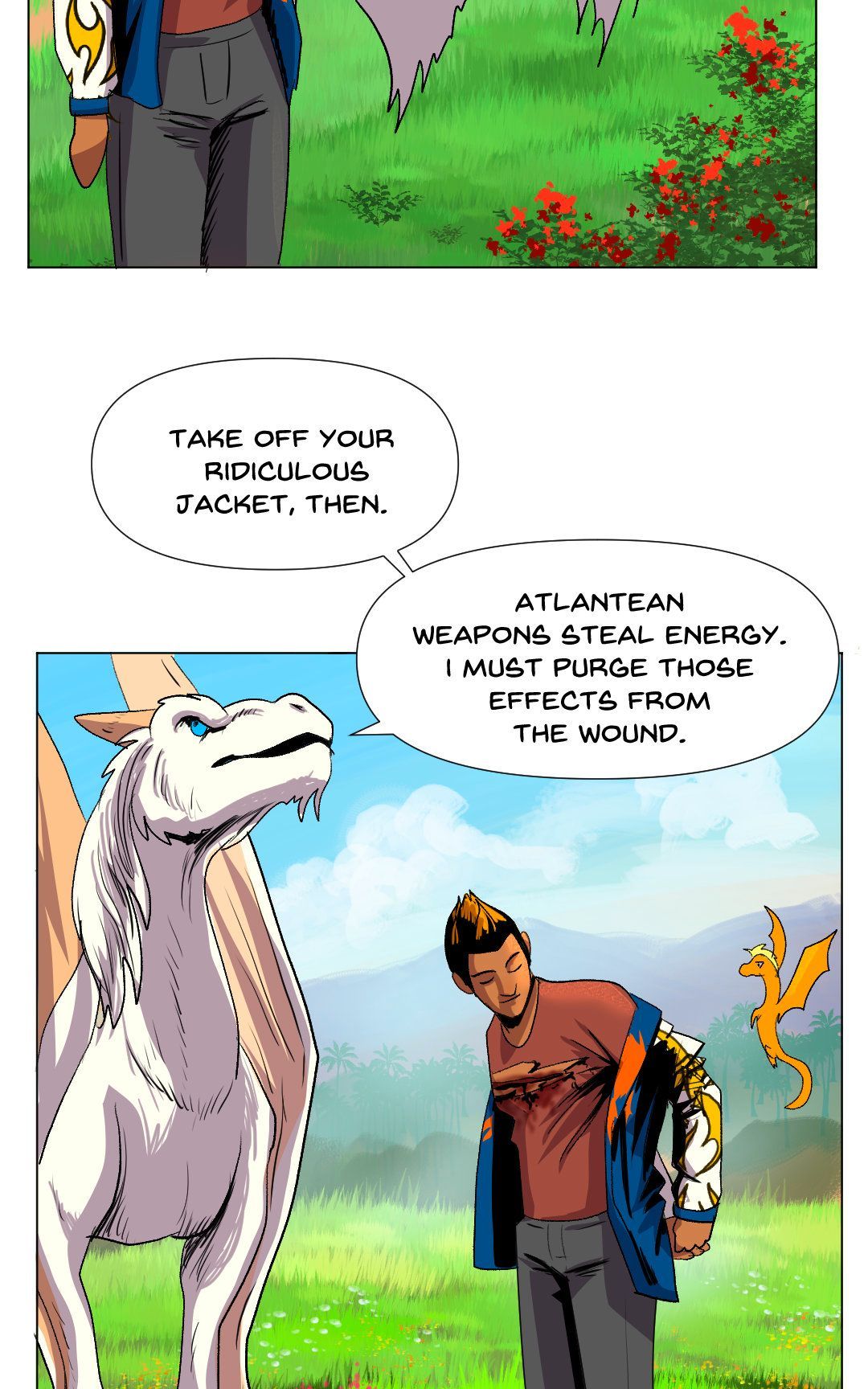 Explanations panel 21