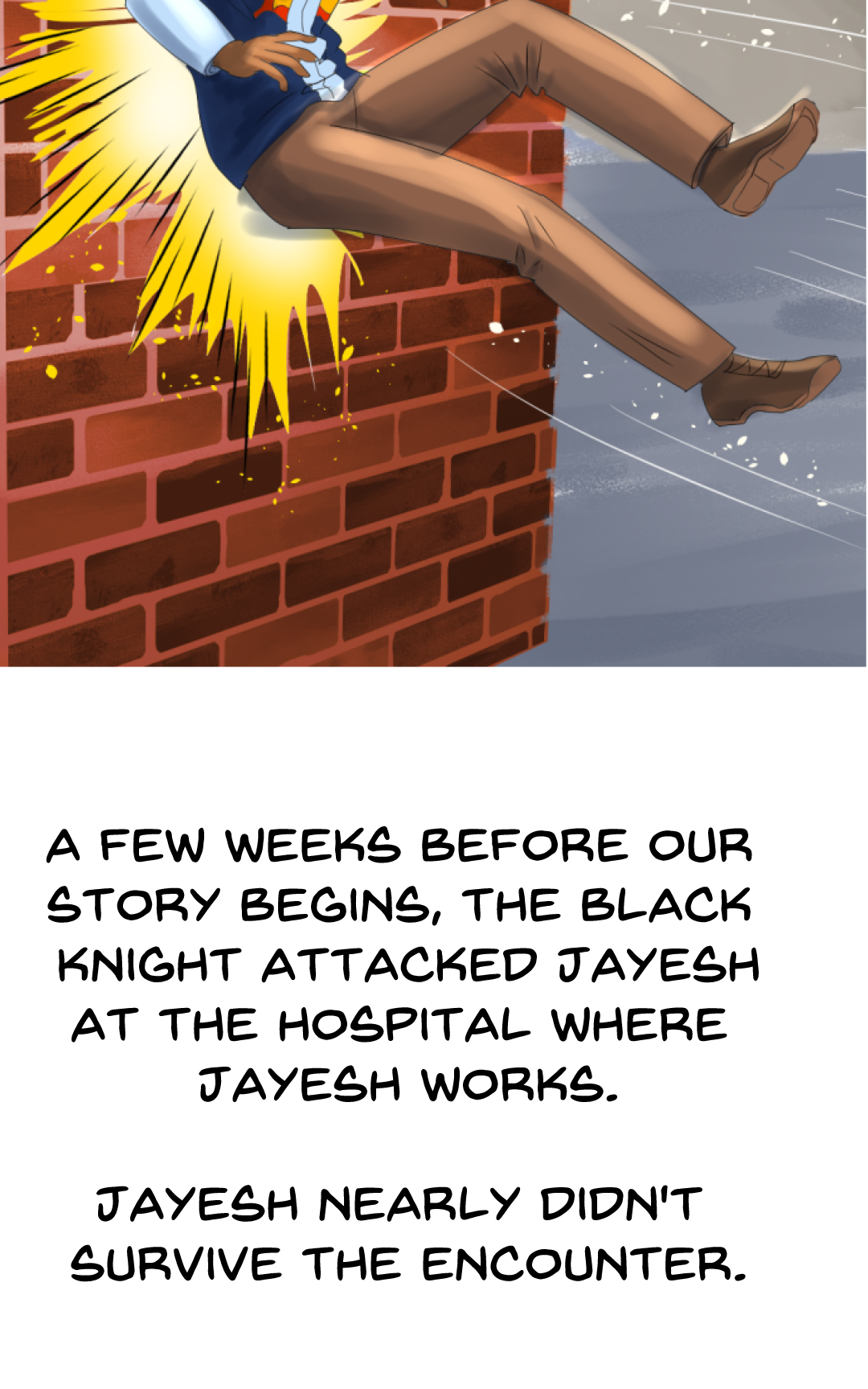 Meet Jayesh and Kari panel 9