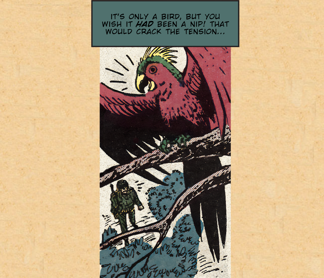 Marine Raid on Munda #1 panel 6