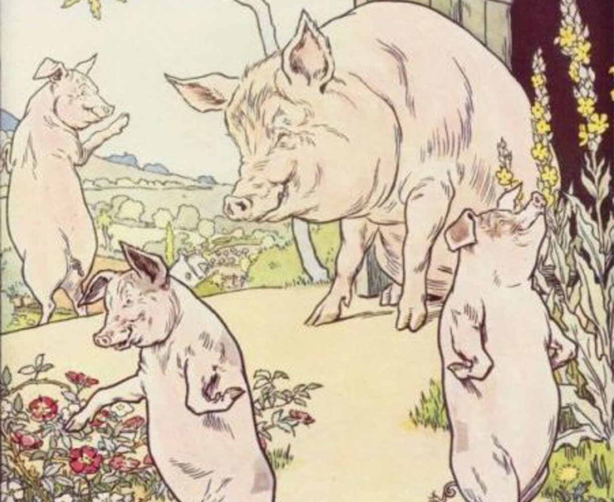 The Three Little Pigs #6 episode cover