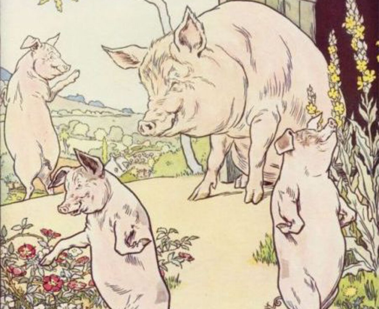 The Three Little Pigs #5 episode cover