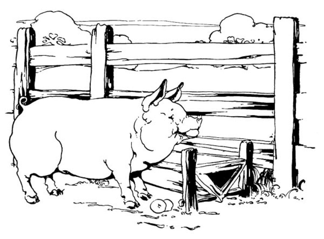 The Little Red Hen #14 panel 6