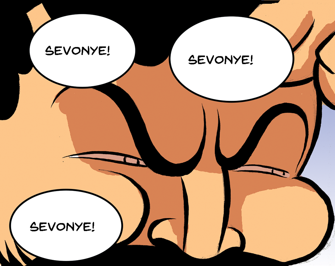 Sevonye panel 12